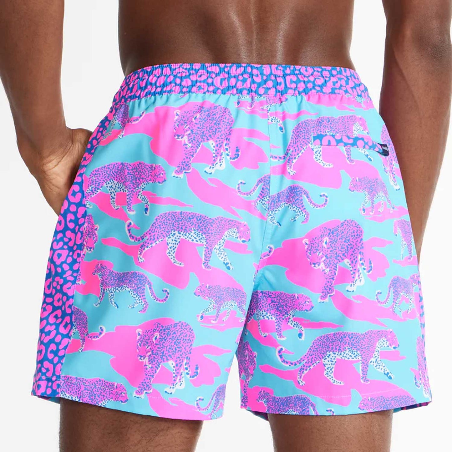 Chubbies The Fun Sponges Lined Classic Swim Trunk 5.5"