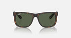 Ray-Ban RB4165 Justin Classic- Matte Havana / Polarized Dark Green
