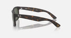 Ray-Ban RB4165 Justin Classic- Matte Havana / Polarized Dark Green