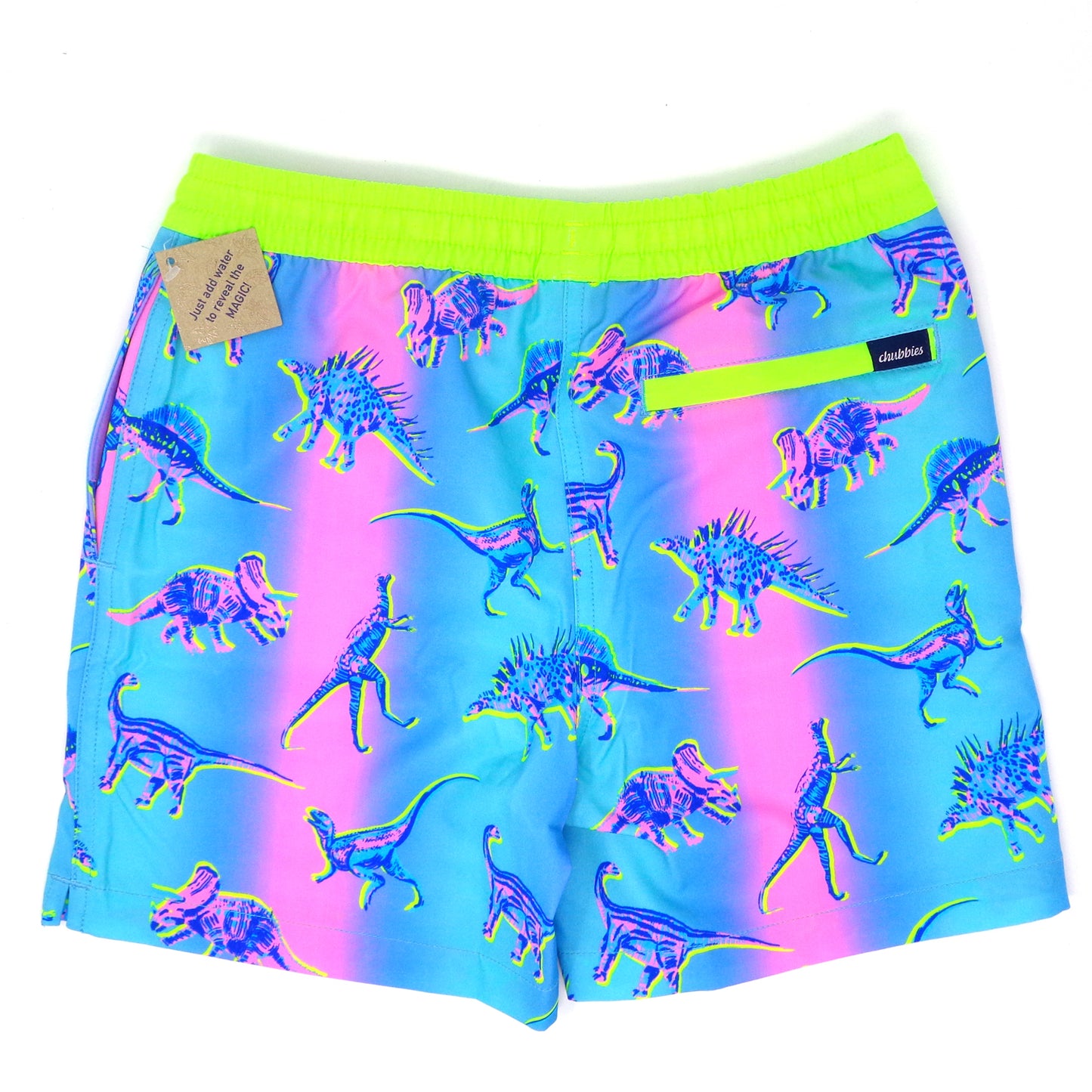 Chubbies The Lil Dino Delights Little Kids Magic Swim Trunks