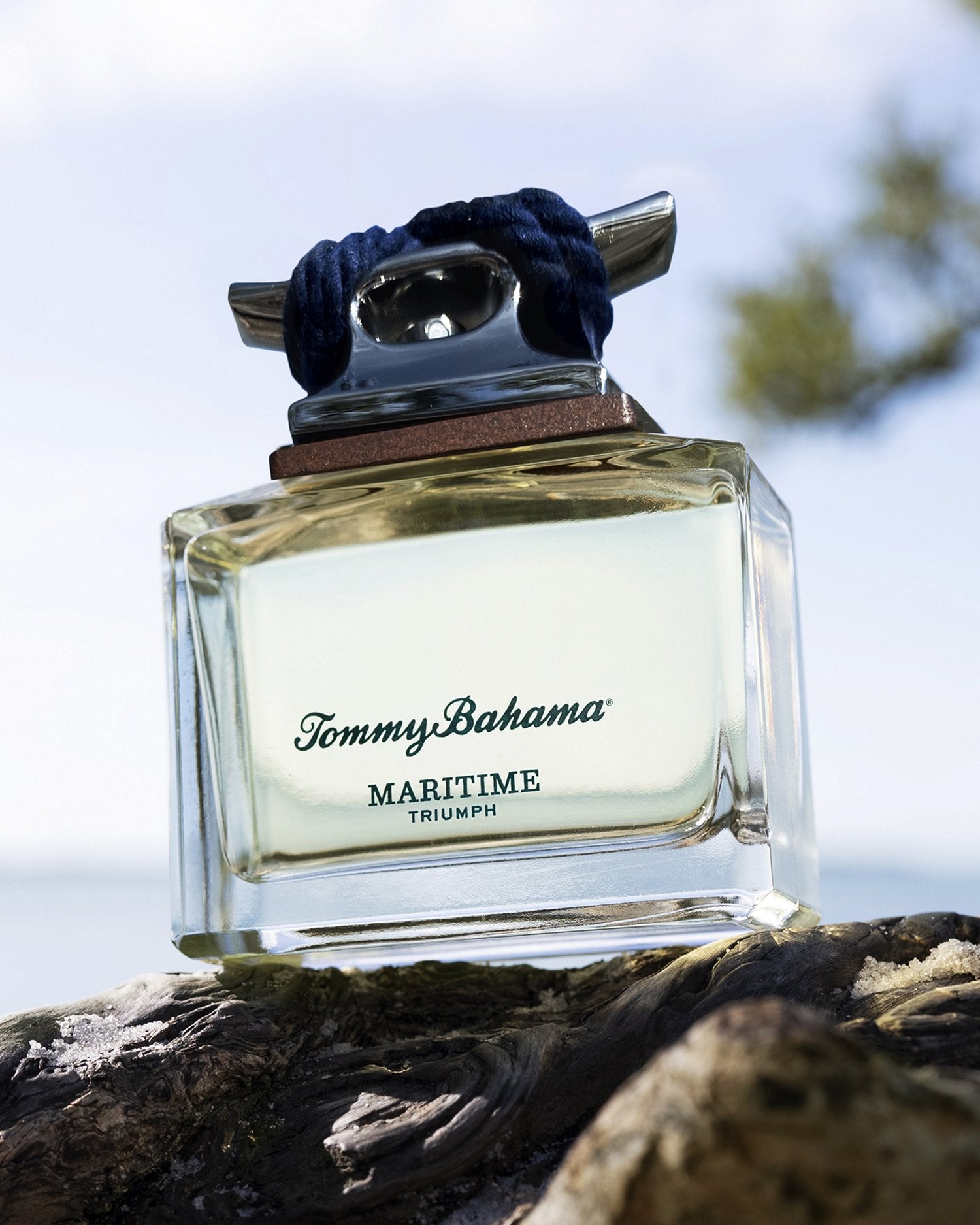 Tommy Bahama Triumph Cologne For Men Cologne - 4.2 Ounce Spray ...