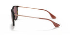 Ray-Ban RB4171 Erika Sunglasses- Havana with Dark Violet Lenses