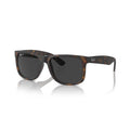 Ray-Ban Justin Polarized Sunglasses - Havana Frame / Gray Lens