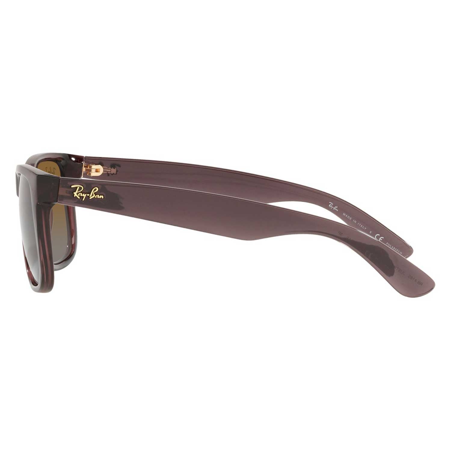 Ray-Ban Justin Classic Sunglasses - Polished Transparent Dark Brown Frame - Brown Lenses - BeachToBlvd