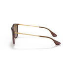 Ray-Ban Erika Classic Polarized Sunglasses - Polished Transparent Dark Brown Frame - Brown Lenses - BeachToBlvd