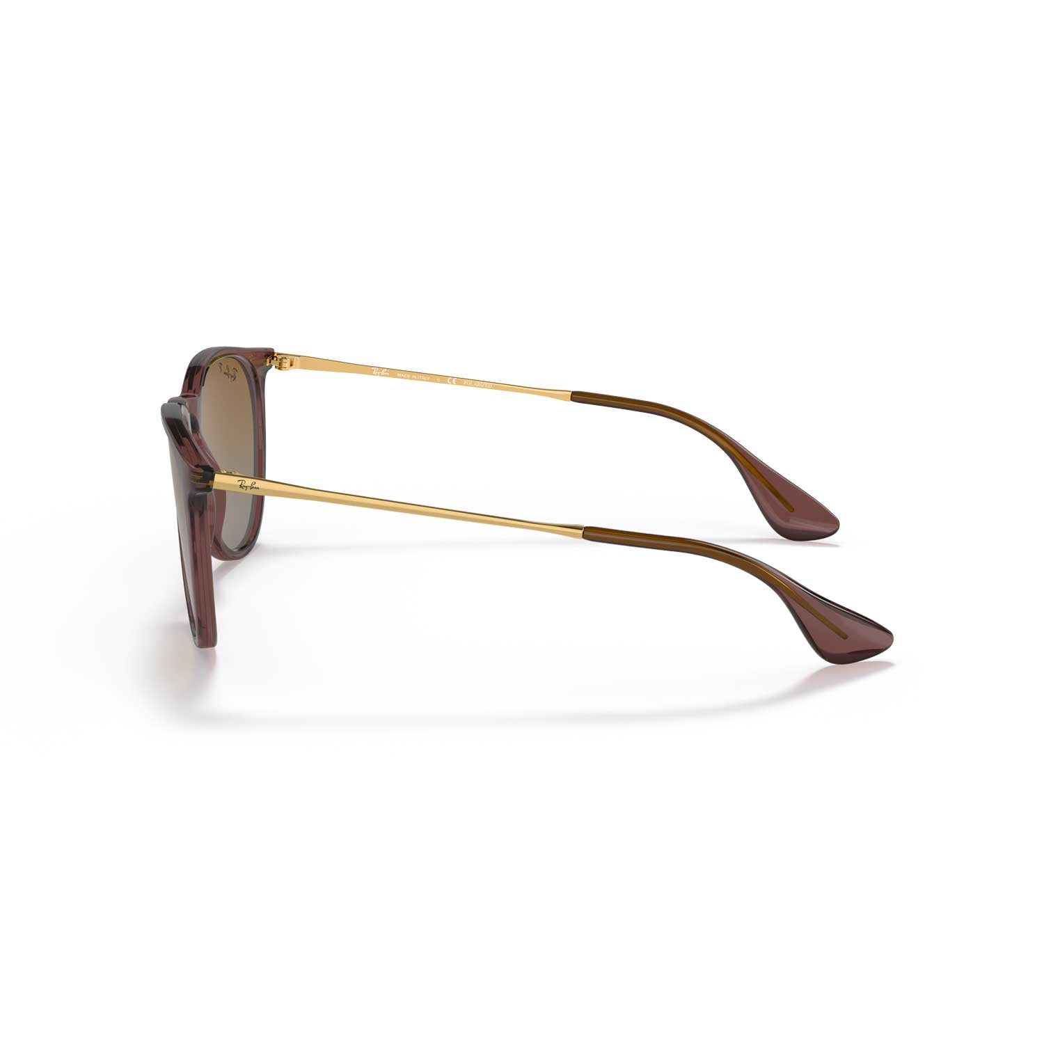 Ray-Ban Erika Classic Polarized Sunglasses - Polished Transparent Dark Brown Frame - Brown Lenses - BeachToBlvd