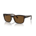 Ray-Ban RB4428 Square Polarized Sunglasses - Matte Havana Frame / Brown Lenses - BeachToBlvd