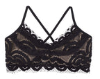 PQ Midnight Lace Bralette - BeachToBlvd