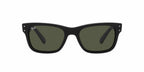 Ray-Ban RB2283 Mr Burbank- Black/ Polarized Green