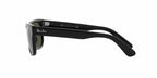 Ray-Ban RB2283 Mr Burbank- Black/ Polarized Green
