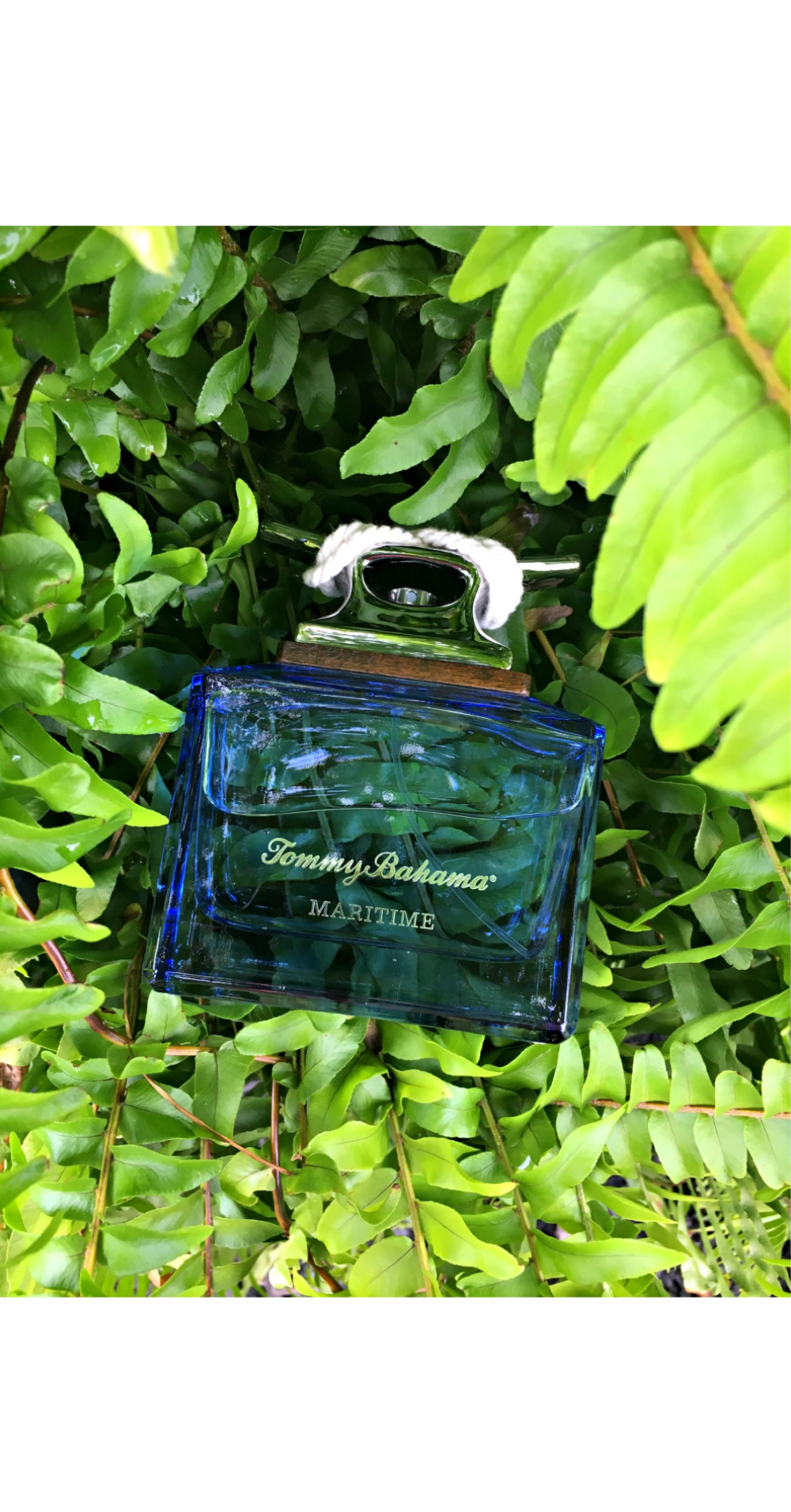 Tommy Bahama Cologne Maritime For Men